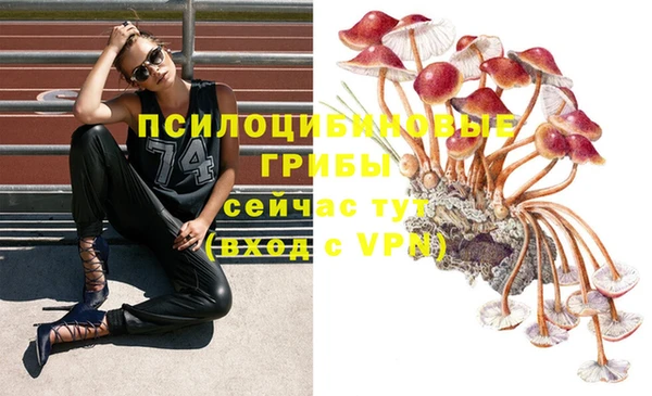 дживик Волосово