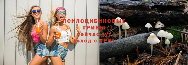 твердый Сосновый Бор