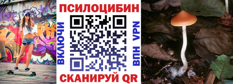 Псилоцибиновые грибы ЛСД Мариинск